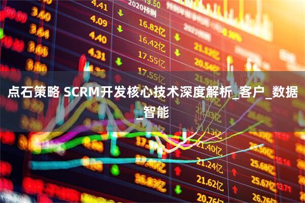 点石策略 SCRM开发核心技术深度解析_客户_数据_智能