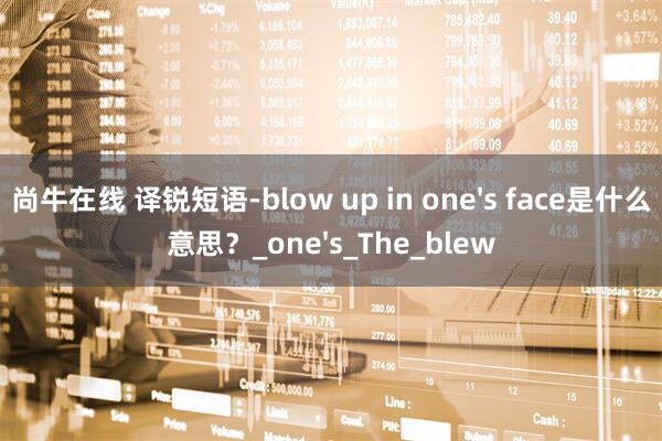 尚牛在线 译锐短语-blow up in one's face是什么意思?_one's_The_blew