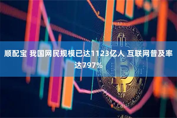 顺配宝 我国网民规模已达1123亿人 互联网普及率达797%